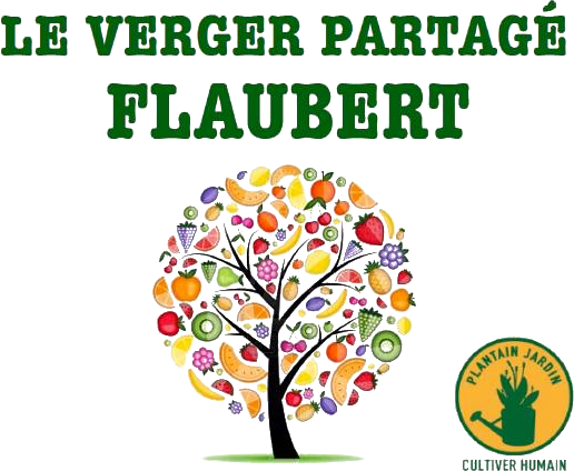 Logo Verger Flaubert